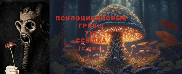 герыч Нея