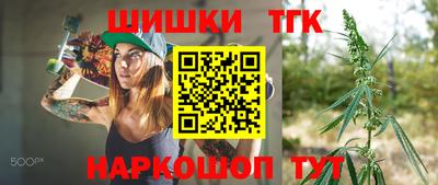 мдпв Гагарин