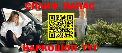 мдпв Гагарин