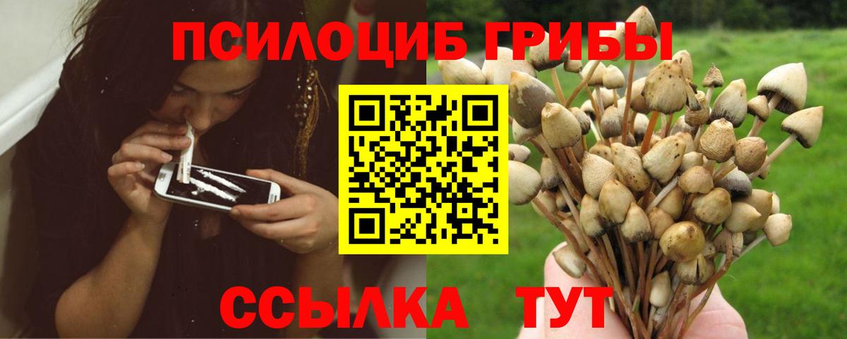 Галлюциногенные грибы прущие грибы Севастополь